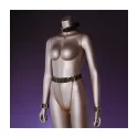 Obroża Indulge In The Restraints Collection