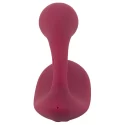 Rosenrot bendable rc panty vib