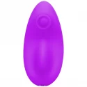Magnetic panty vibe with remote