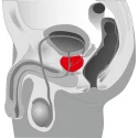 Wibrujący stymulator do punktu P Ebony Prostate Massager