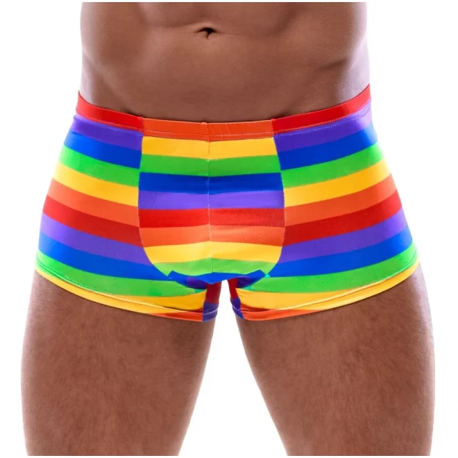 Herren pants rainbow