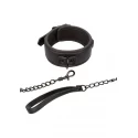 Nocturnal Collar & Leash