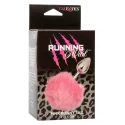 Running Wild Bunny