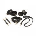 Lover's restraints set