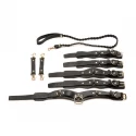 Lover's restraints set