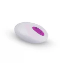 Purple Pleaser Vibrator