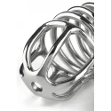 Ring Master Chastity Device