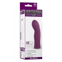 NMC 5 INCHRECHARGEABLE SILICONE 10 FUNCTIONS SPEED VIBRATOR BLUE