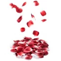 Płatki róż Bijoux Indiscrets Rose Petal Explosion