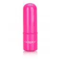 Tiny Teasers Mini Bullet
