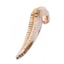 Szklane dildo Glassvibrations Golden Series The Golden Lick