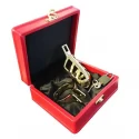 Brutal stainless steel chastity cage - gold platted