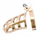 Brutal stainless steel chastity cage - gold platted