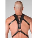 Spartan harness medium