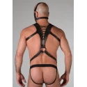 Spartan harness medium