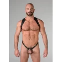 Spartan harness small