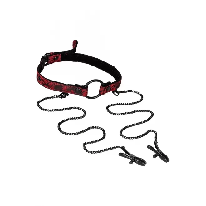 Knebel z Klipsami Open Mouth Gag With Clamps