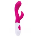 Podwójny wibrator Vibrator nessy