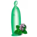 Tcmc fresh-mint! 12er
