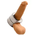 Stainless Steel Penis Trap