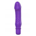 Delight Mini Vibe