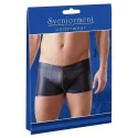 Herren pants