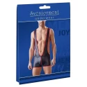 Herren body rot