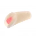 Masturbator wagina