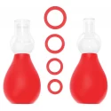 Nipple erector set