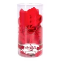 With love rose scented silk petals