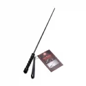 Isabella Sinclaire Intense Impact Cane