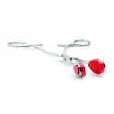 Isabellas Stainless Steel Forceps