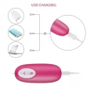 Remoted controller egg 0.3 USB Pink