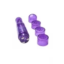 EROTIST 541015 Mini Vibrator with 5 heads, 11cm