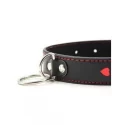 Obroża i smycz Collar Leash