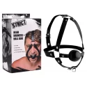 Strict head harness with ball gag