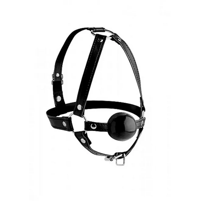 Strict head harness with ball gag