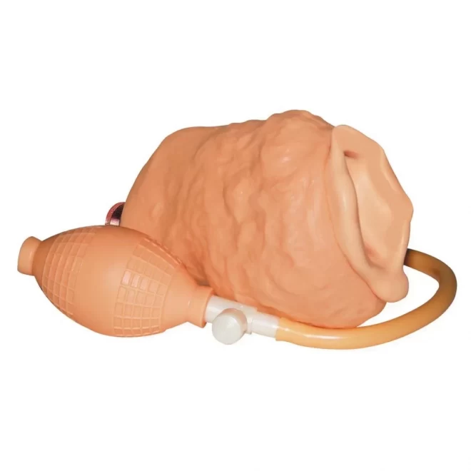 Masturbator z pompką Wet-Dreams