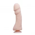 THE BIG PENIS