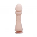 THE BIG PENIS