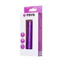 PowerBank