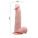 VIBRATING PENIS
