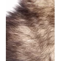 Untamed XL Fox Tail Anal Plug