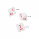 Tempt & Tease Dice