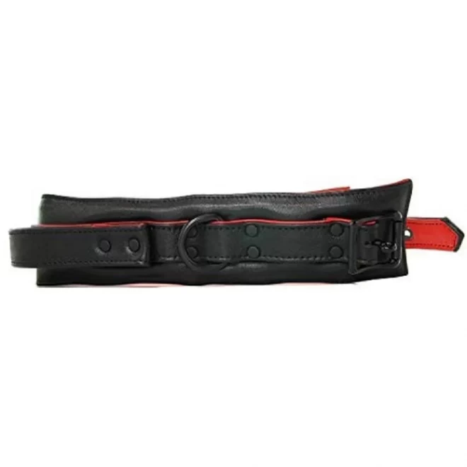 Leather handler's collar - black | red