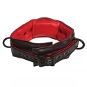 Leather handler's collar - black | red
