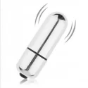 10 speeds Bullet Silver