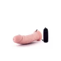 Dildo z wibracjami Dr. Skin Dr. Joe
