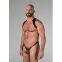 Spartan harness extra large