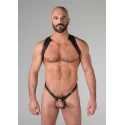 Spartan harness extra large